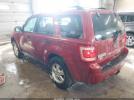 Ford Escape Xlt Image 6