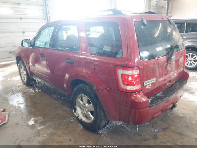 Ford Escape Xlt Image 6
