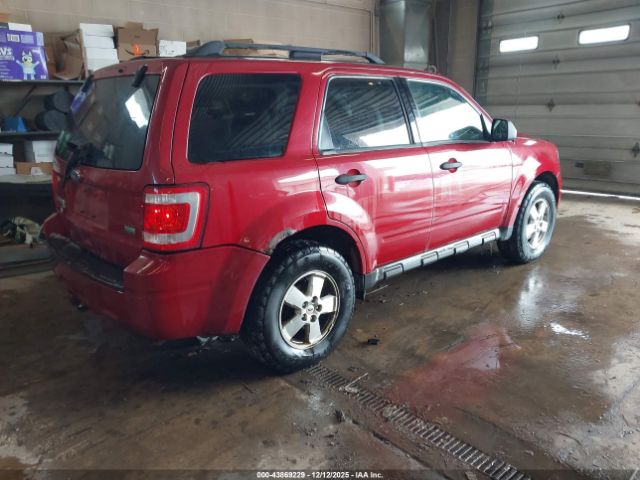 Ford Escape Xlt Image 5